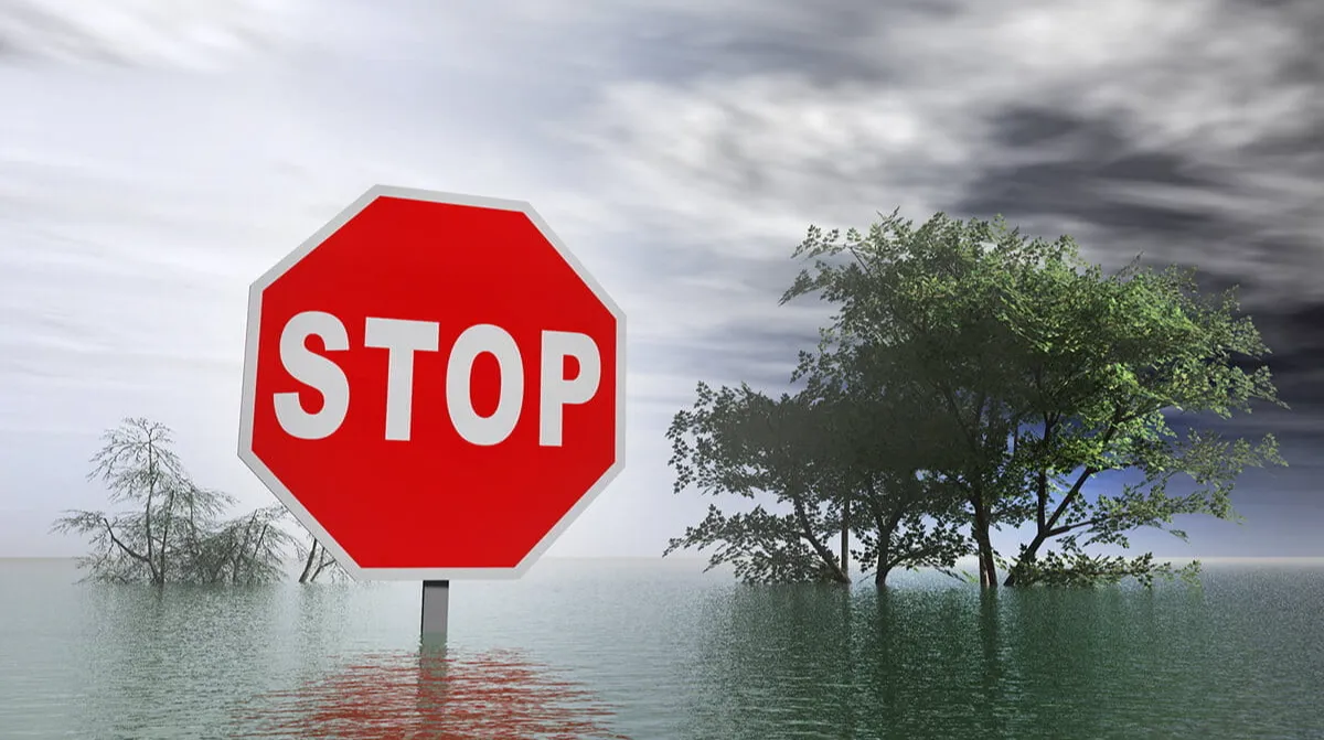 Understanding Medicare Special Enrollment Periods in South Dakota